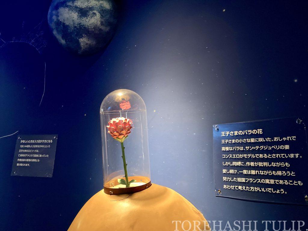 星の王子さまミュージアム　箱根　観光スポット　サン=テグジュペリ　インスタ映え　割引　ガラスの森　料金　アクセス　展示　フォトスポット　